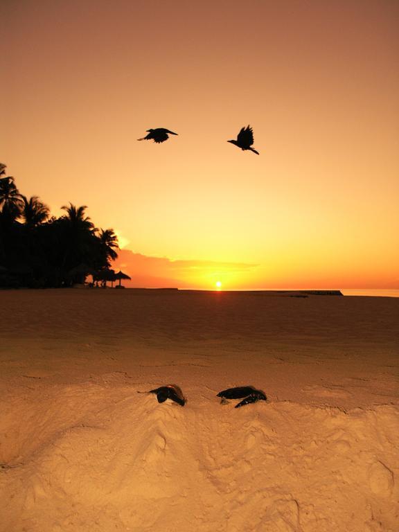 Blue World Dharavandhoo Exterior foto